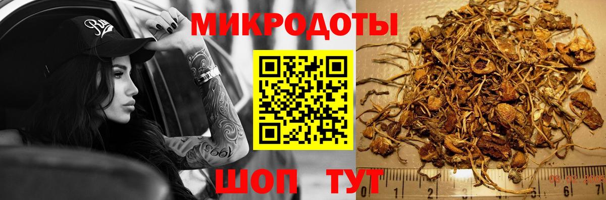 Псилоцибиновые грибы мухоморы Клин
