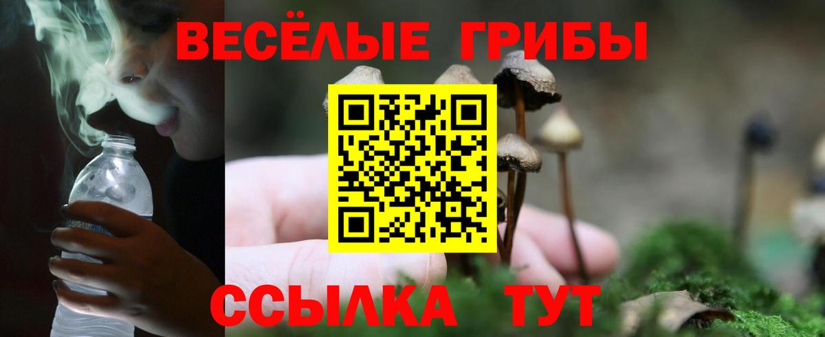Галлюциногенные грибы прущие грибы  Вход с VPN  Клин  Галлюциногенные грибы ЛСД 